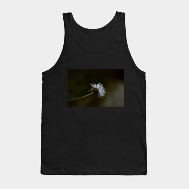 Crepis Tectorum Illustration Tank Top by mavicfe